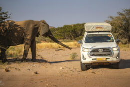 Namibia_August (26/135)